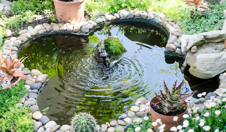 Affordable Backyard Luxury: 11 Ideas to Elevate Your Outdoor Space - Koi Pond