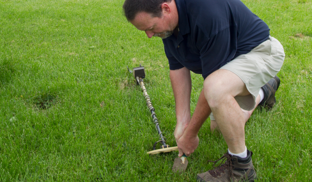 Can You Find Diamonds in Your Backyard? (with a Real Story!) - Metal Detector