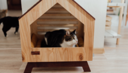 Aesthetic pet house