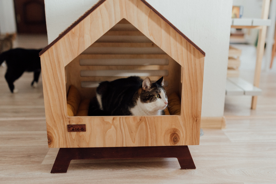 Aesthetic pet house