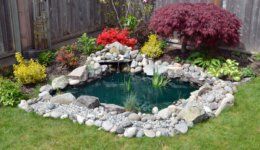 Easy DIY Backyard Duck Pond Building Guide